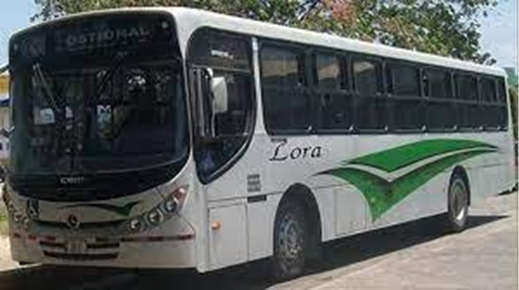 Buses from Santa Cruz to Marbella