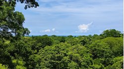 Lote con Vista al Mar