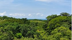 Lote con Vista al Mar