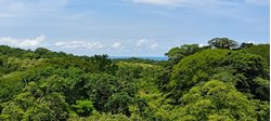 Lote con Vista al Mar